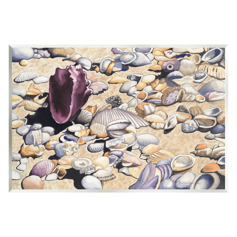 «Seashells on Coast» par Christine Reichow, H 13 po x l 19 po
