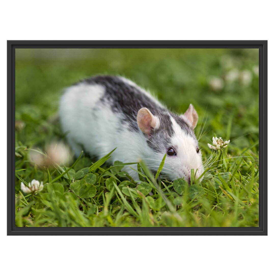 Gerahmtes Wandbild kleine Maus auf Blumenwiese