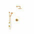 Palladian Pressure-Balanced (Temperature And Volume) All-In-One Kit with Rough in-Valve
