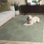 Mirissa Performance Solid Color Rug-1985788464