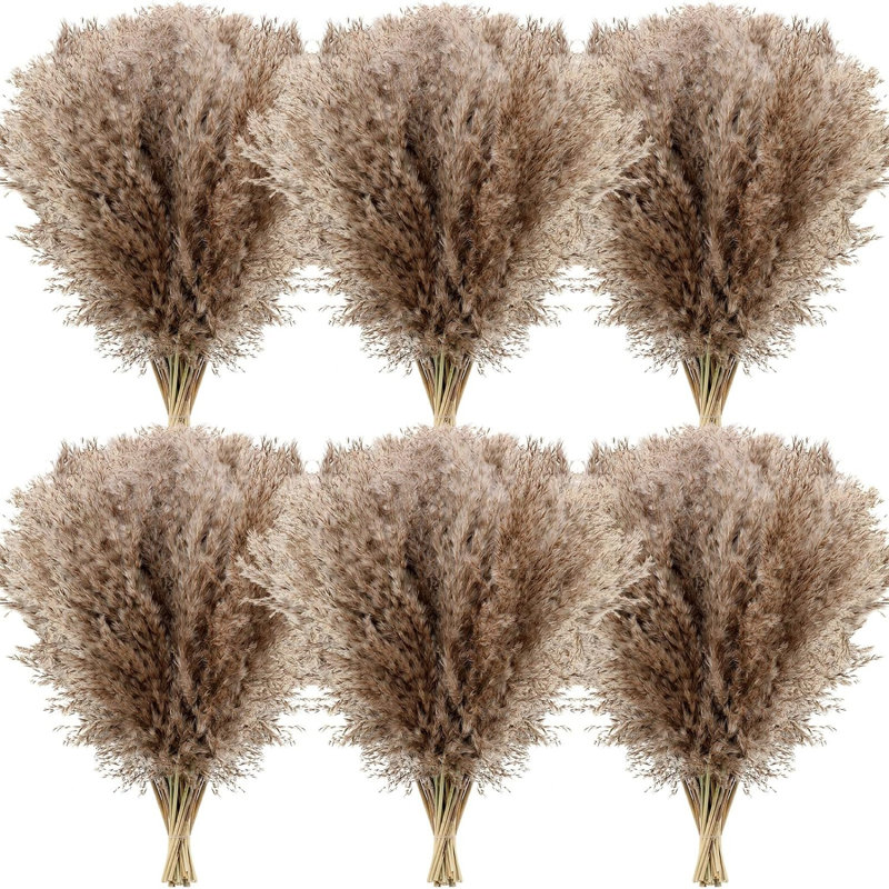 50 pièces Boho Decor, pelucheux herbe de Pompas, herbe de Pampas naturelle sèche petite, courte vampire pour chambre Boho, décoration de table basse