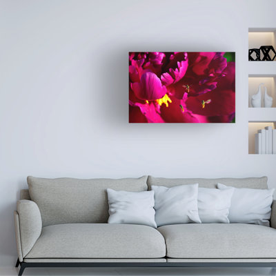"Gordon River", art sur toile 103