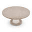 Table ronde Iralyn