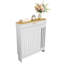 Radiator Cover-134393280
