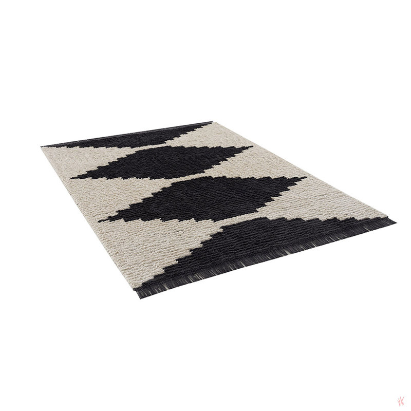 Black & Ivory Modern Area Rug
