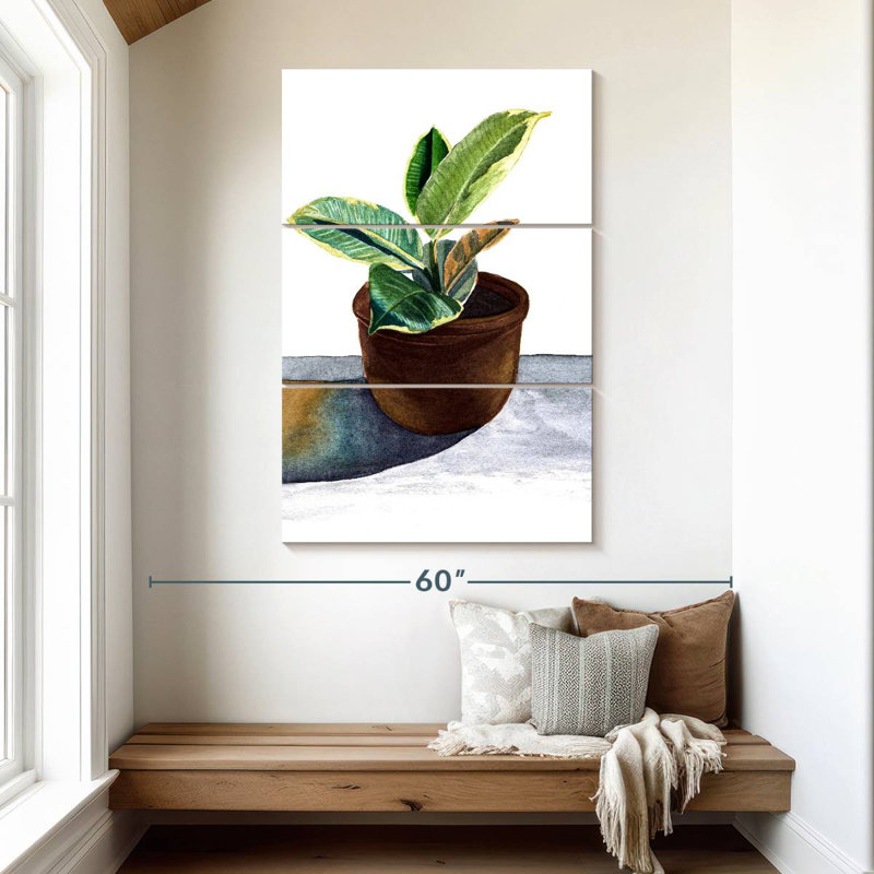 Plante Harnek dans un pot en céramique