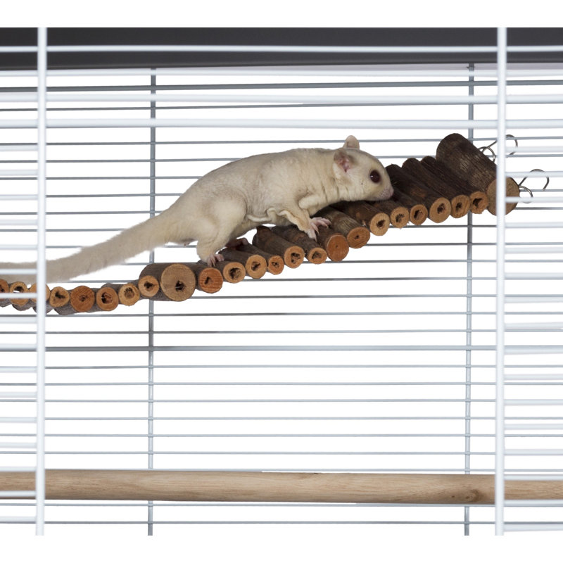 Perchoir unique en bois 0,25 po pour cage intérieure