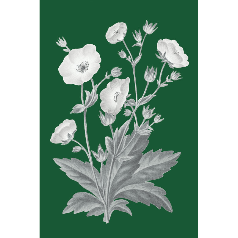 Green Botanical VI by Wild Apple Portfolio - Wrapped Canvas Painting, 76cm H x 51cm W