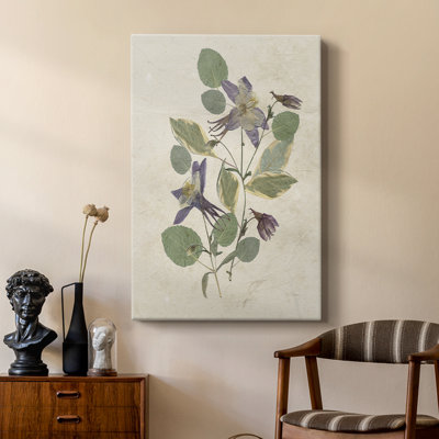 Pressed Arrangement IV - Gallery Cavas