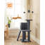 Colter 118.1cm H Cat Tree-1417057529