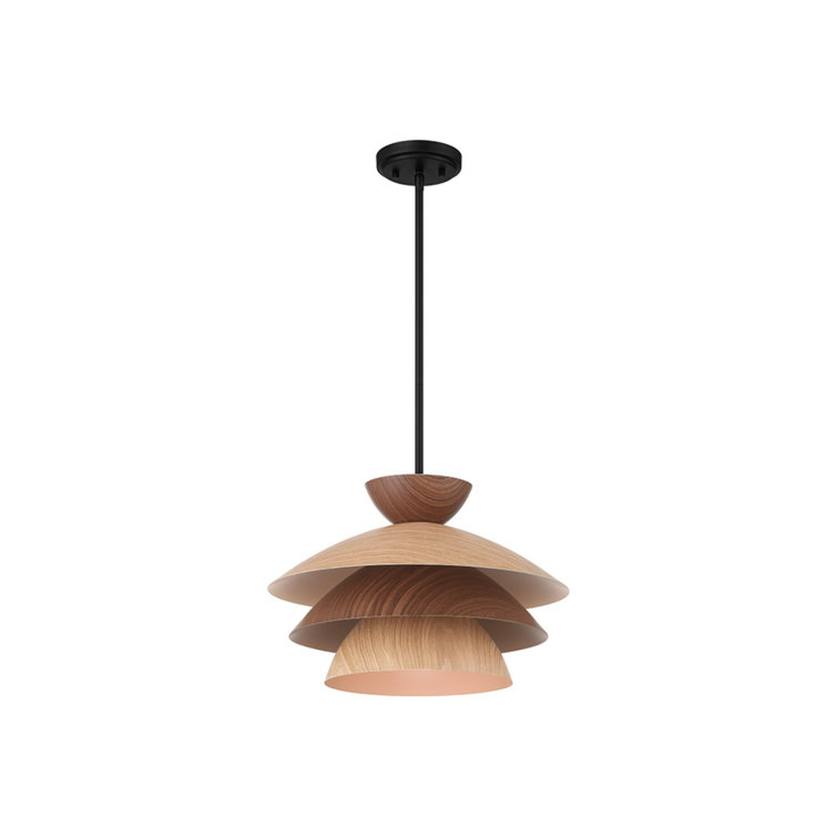 1-Light Pendant in Matte Black