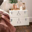 2 Piece Accent Trunk Set-1404838383