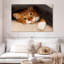 Crowle Cozy Cat-111859391