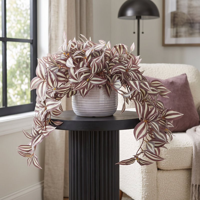 Tradescantia en pot en céramique, H 16 po x l 29 po x P 24 po, Mauve, Blue
