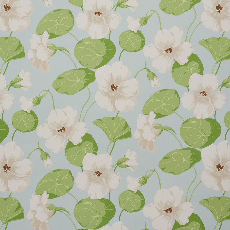 Papier peint capucine, Ciel