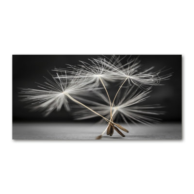 Dandelion Seeds - No Frame Print