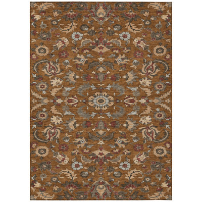 Machine Washable Indoor/Outdoor Chantille ACN2473 Global Rug