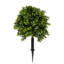 Topiaire en faux buis 10 po