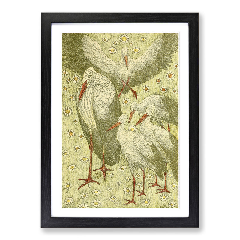 Van Hoytema, Theo Stork Family by Theo Van Hoytema - Picture Frame Graphic Art, 65cm H x 48cm W x 2cm D, Black Framed