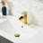 Single Hole Bathroom Faucet with Drain Assembly-63230164