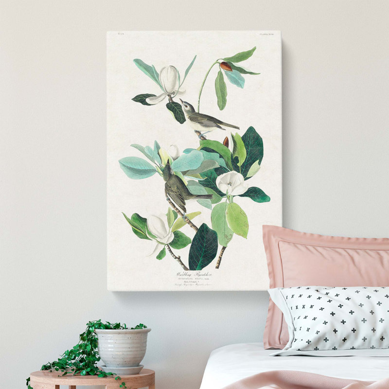 Warbling Flycatcher Birds by John Audubon - Wrapped Canvas Painting, 60cm H x 40cm W x 3cm D