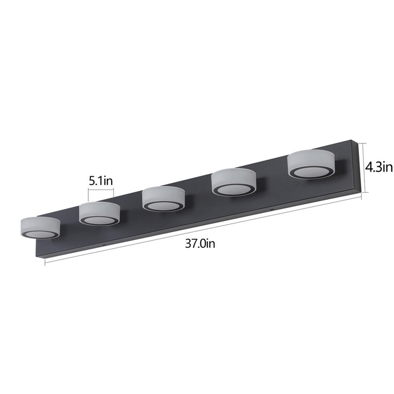 Vanity Light Fixture LED