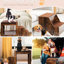 Lit superposé pour animaux de compagnie avec marche amovible, multi-niveaux pour chiens et chats, coussin et coussin anti-égratignures, intérieur, coussin de plateforme stable, structure solide