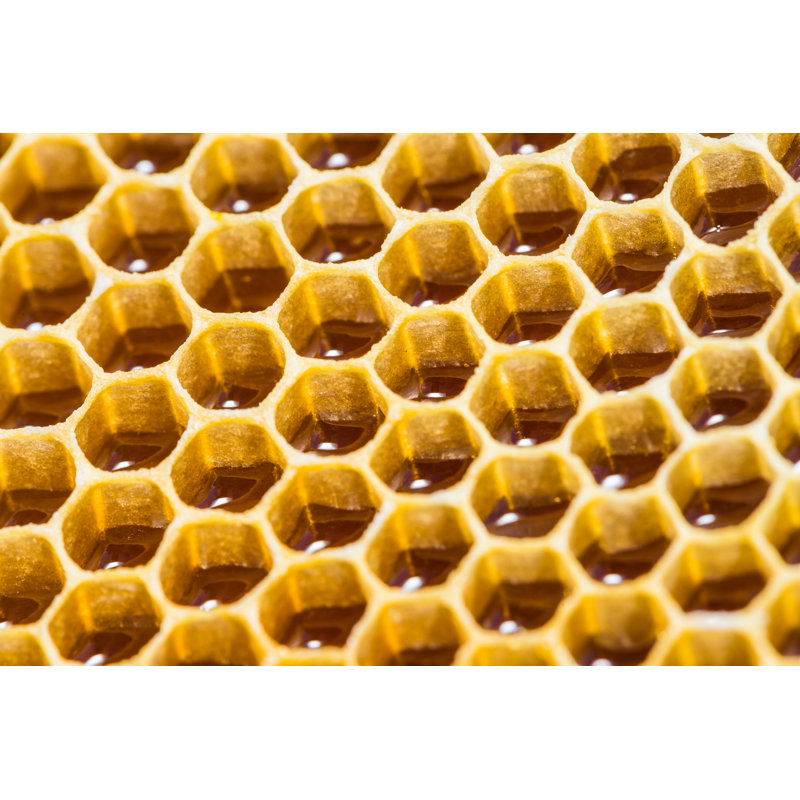 Gros plan sur un nid d'abeilles par Alan64, H 20 po x l 30 po