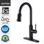 Robinet de cuisine Sumerain S6132P-XX-6133-100943514