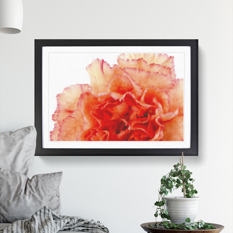 Orange Carnation Flower - Picture Frame Graphic Art Print, Black Framed, 62cm H x 87cm W x 2cm D