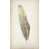 Couche de verre