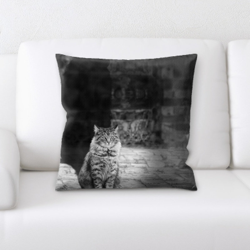 Coussin pour chat