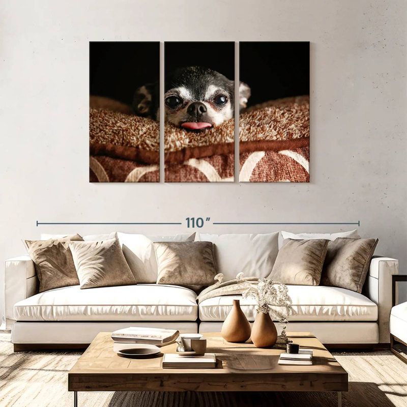 Chihuahua Brampt ludique, H 48 po x l 74 po