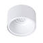 Helvey Ceiling Spotlight-1670855994