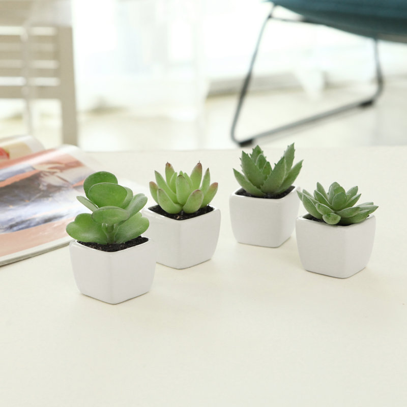 10.5cm Faux Succulent Plant in Ceramic Pot