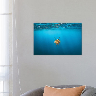 Following Golden Turtle Underwater by James Vodicka - Wrapped Canvas Gallery-Wrapped Canvas Giclée