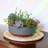 Dahlstrom Pot Planter