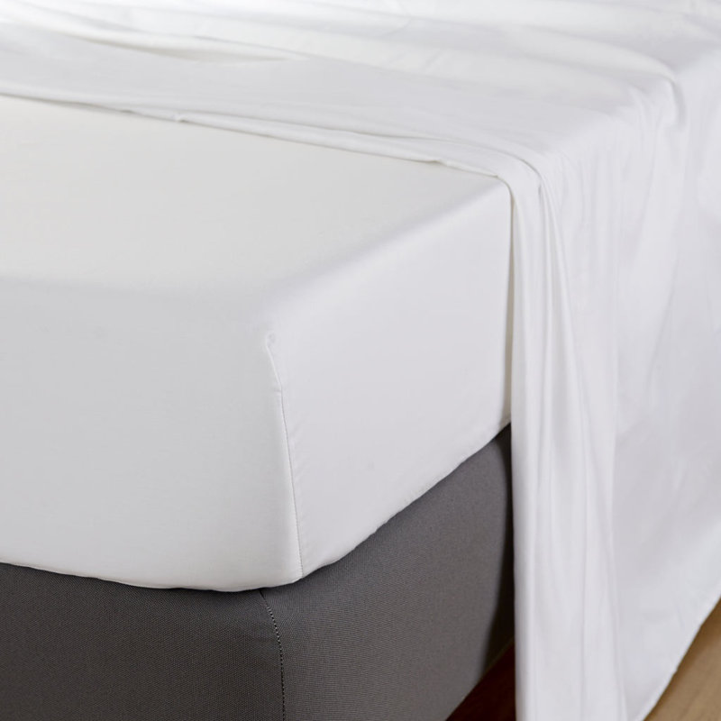 Avont 100% Cotton Standard Flat Sheet, Double (4'6), White