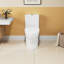 1.1/1.6 GPF Elongated Comfort Height Floor Mounted One-Piece Toilet