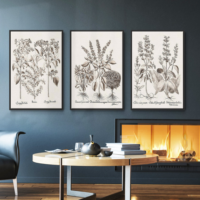 Sépia Besler Botanicals I 3 pièces, Noir, H 27 po x l 54 po