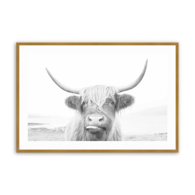 Imprimé de vache Highland ludique