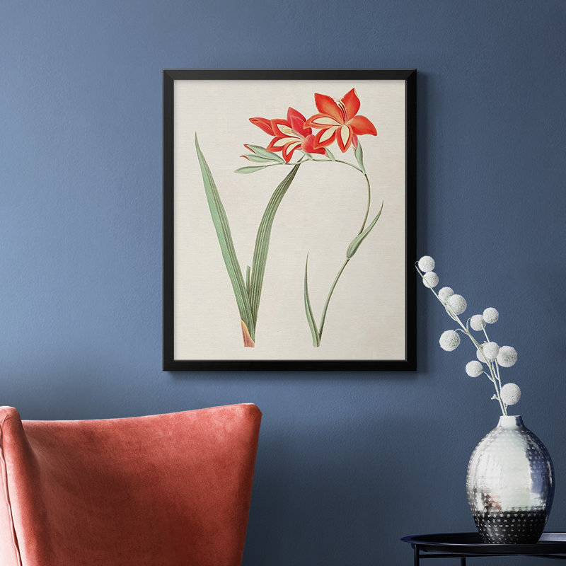 «Flowers of the Seasons IV», toile encadrée de qualité supérieure - prête à être accrochée, Noir, H 24 po x l 20 po
