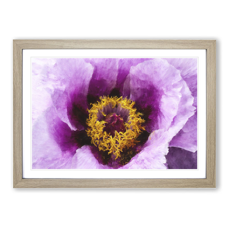 Purple Peony Flower Vol.1 - Framed Print, 27cm H x 36cm W x 2cm D, Oak Framed