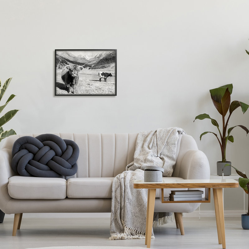 Curious Ox Clueless Cow Sublime Farm Plains Danita Delimont, H 20 po x l 16 po, Giclée encadrée noir minuit