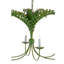Royal 6 - Light Chandelier-1339404450