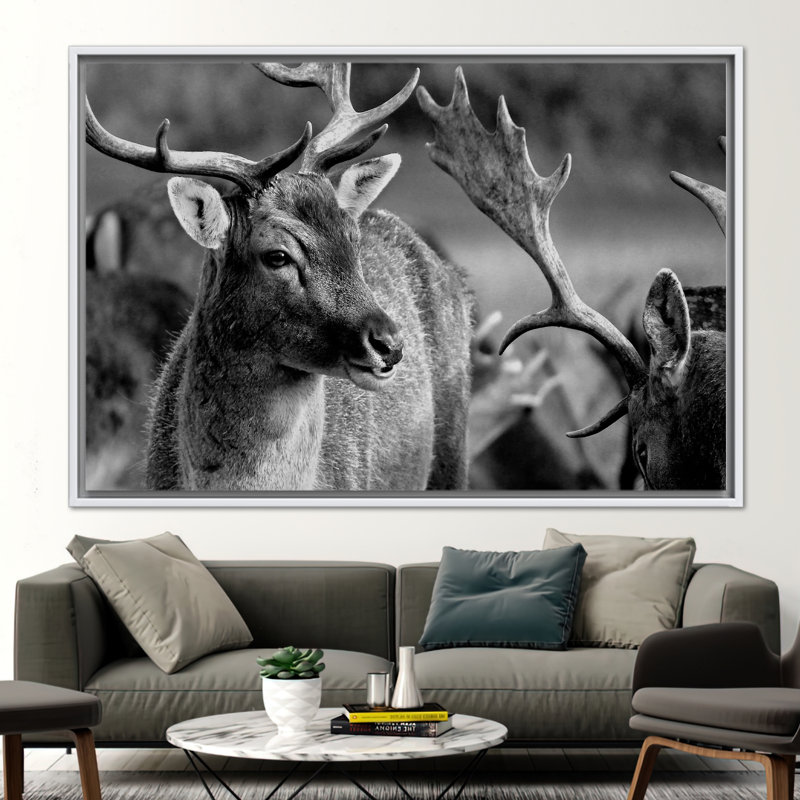 Superbe affiche murale «Deer Wildlife» - idéale pour les amateurs de décoration de loft et d'animaux, H 30 po x l 41 po