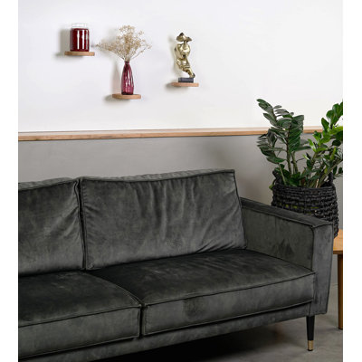 Burrowsville 3 Piece Floating Shelf