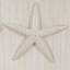 Jindran Starfish 2 Door Cabinet