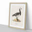 Barnacle Goose by Von Wright - Picture Frame Painting Print-55683255-55683250