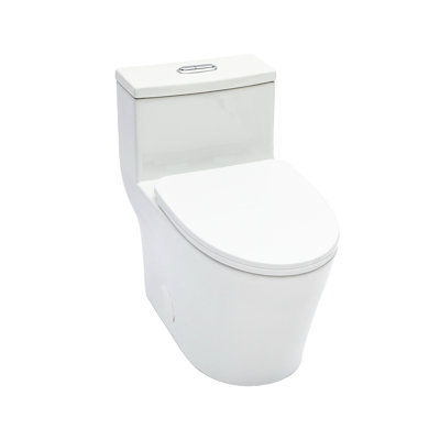 12 - Inch Rough In Ceramic Toilet, Dual Flush 1.24/1.43 , Soft Close Pp Seat, 800G Map Rating, Fully Glazed For Stain Toilet One Piece In, Hygienic Solution